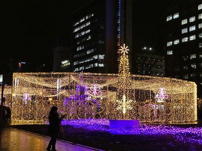 P1010354.jpg