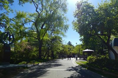 P1080451.jpg